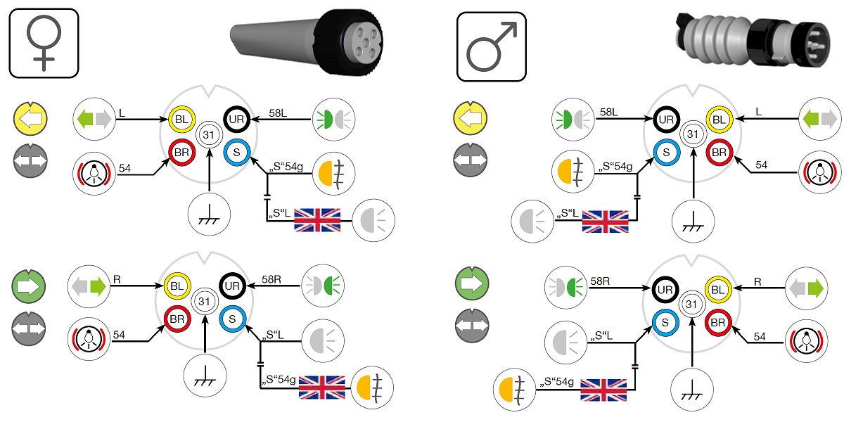 Aspöck 5-poliger Stecker grün Rechts