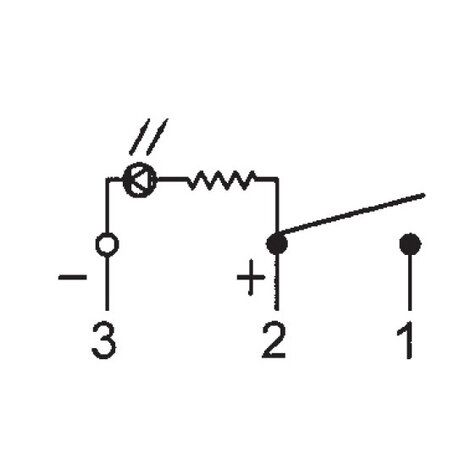 Einbau Schalter Rund 12V 20A Grün